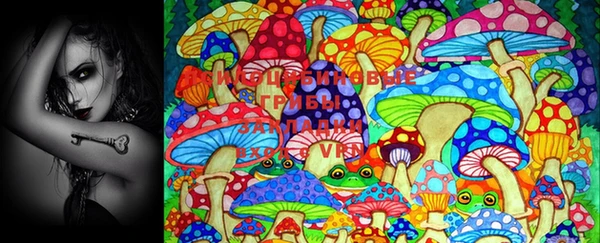 СК Новосибирск