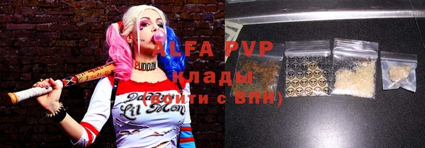 СК Новосибирск