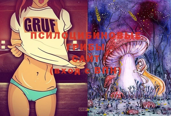 гидра Санкт-Петербург