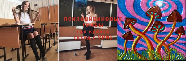 гидра Санкт-Петербург