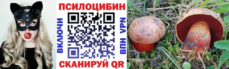 Купить где Топки Галлюциногенные грибы прущие грибы